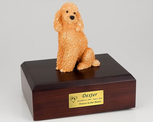 Apricot Miniature Poodle Dog Hollow Figurine Pet Cremation Urn - 2764