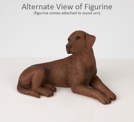 Chocolate Labrador Dog Urn - 144
