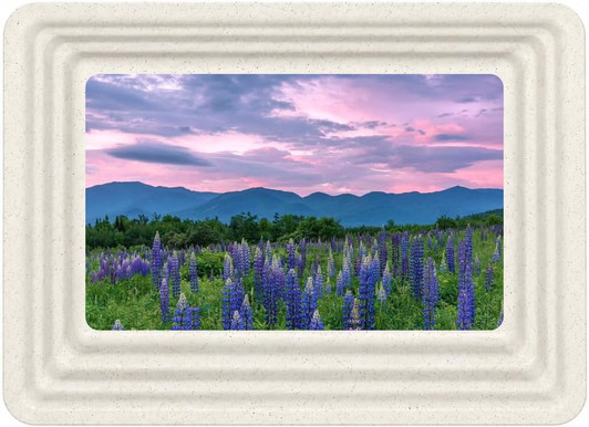 Mountain Meadow White Granite Safeguard Cremation Urn Vault - Injection Molded ABS Burial Vault - Made in the U.S.A.
