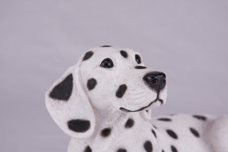Dalmatian Figurine Dog Urn - 2739