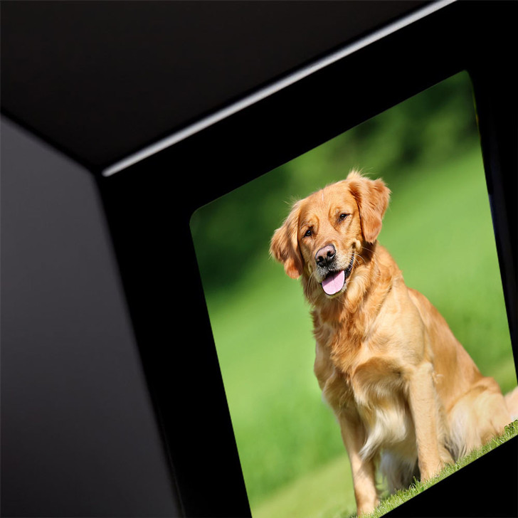 Large Black Satin Finish MDF Wood Photo Pet Cremation Urn