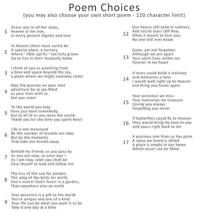 Pet Memorial Box Picture Frame with Paw Print Mold Kit - 3 Colors