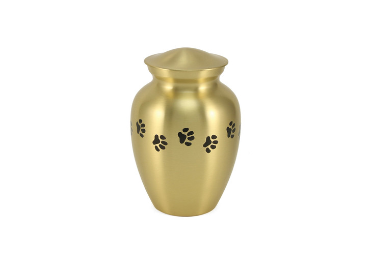Paw Print Gold Classic Vase Style Pet Cremation Urn - Case Quantity