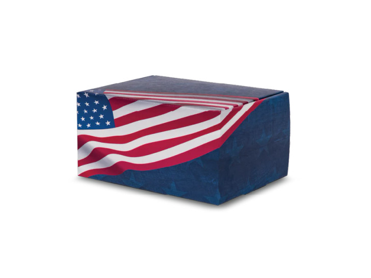 Patriot Artisan Eco-Friendly Cremation Urn