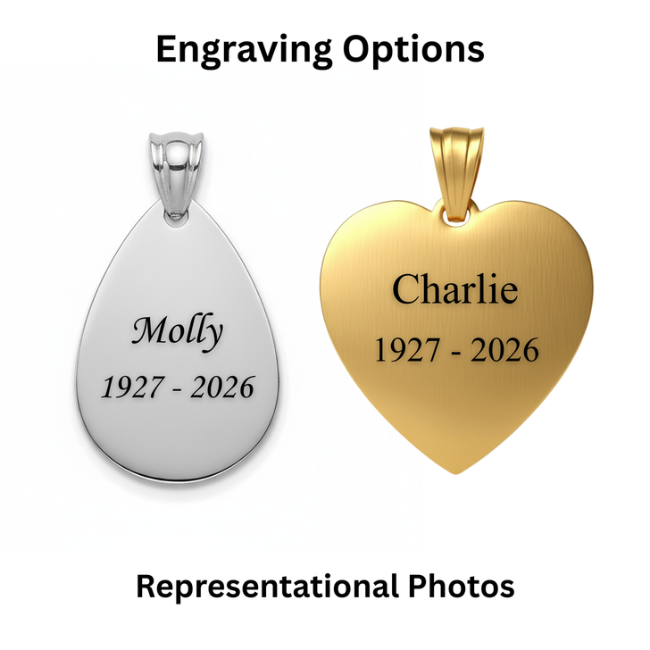Heart Custom Paw Print / Nose Print Pet Memorial Necklace