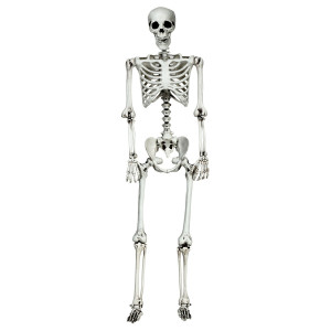 5.4 Feet Halloween Skeleton Life Size Realistic Full Body Hanging - Color: White D681-AP2114 5.4 Feet Halloween Skeleton Life Size Realistic Full Body Hanging - Color: White D681-AP2114