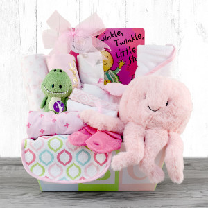 Twinkle, Twinkle: Baby Girl Gift Basket Z954-CPB-172