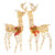 2 Pieces Lighted Reindeer Family with 200 LED Lights B593-CM24243US