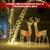 2 Pieces Lighted Reindeer Family with 200 LED Lights B593-CM24243US