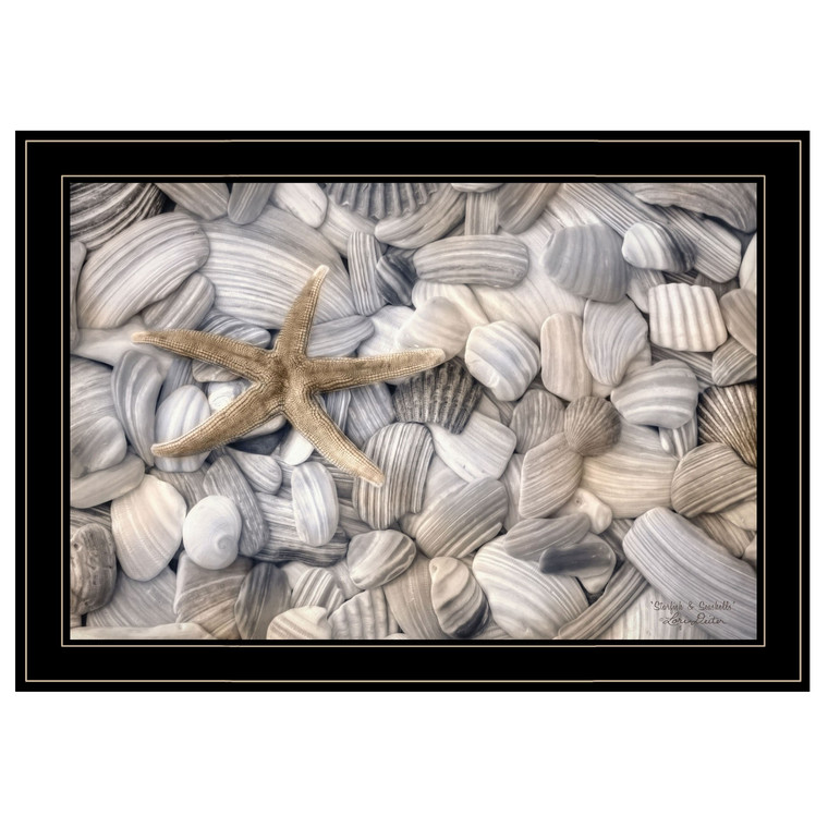 Starfish and Seashells 4 Black Framed Print Wall Art N270-406929