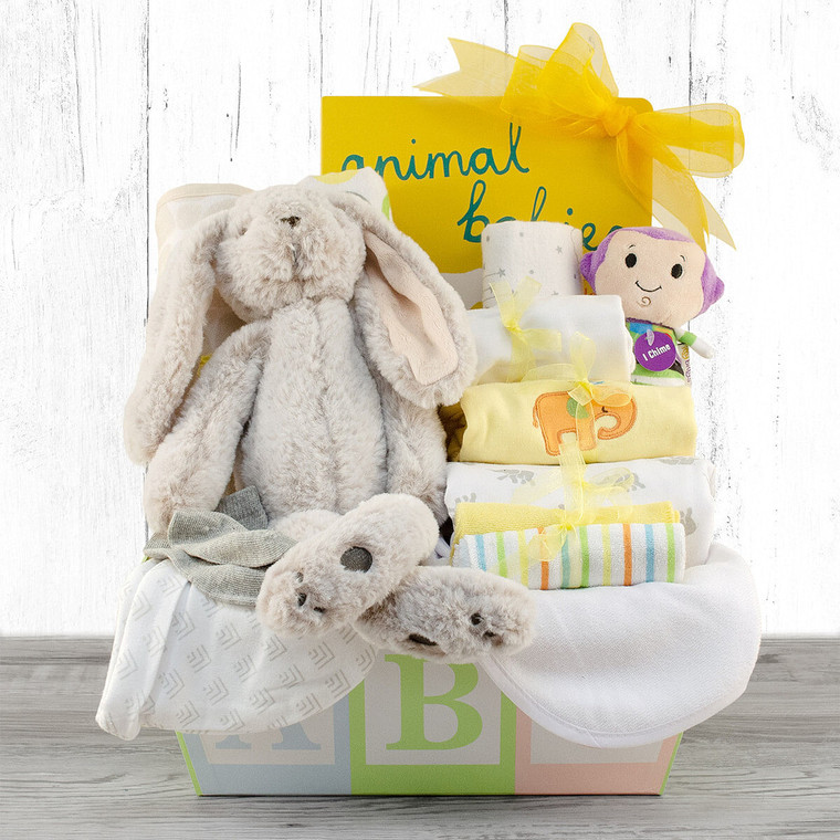 New Baby Love: Baby Gift Basket Z954-CPB-173