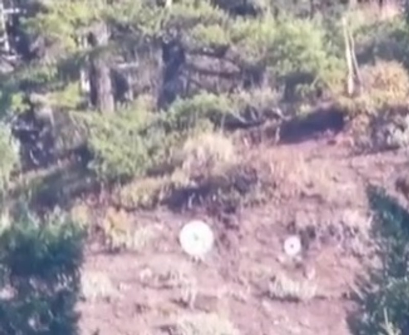 996 Yards With Eagle Eye Precision Match Hunting Ammo 996 Yards With Eagle Eye Precision Match Hunting Ammo