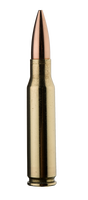 Ammunition Review: Eagle Eye Precision Match .308 Win