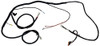 Harness, Lighting, Csmr