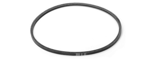 Belts - 101916701