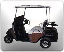 ezgo-88marathon.jpg