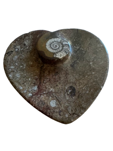 Ammonites and Orthoceras Fossil Heart Shape Dish | Small | NWT Ammonites and Orthoceras Fossil Heart Shape Dish | Small | NWT