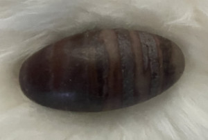 Shiva Lihgam Meditation Stones, 4" Shiva Lihgam Meditation Stones, 4"
