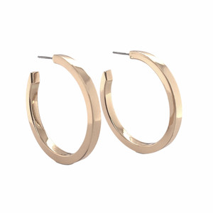 Balaam's Fusion Hollow Hoop Earrings in large. New with tags. Balaam's Fusion Hollow Hoop Earrings in large. New with tags.