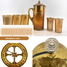 What's LifeXplore? Uniqueness