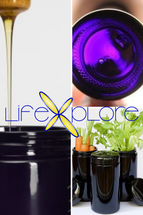 LifeXplore Violet Storage Solutions
