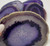 Purple Agate Stone Coasters Sets | 4.5" D | NWT