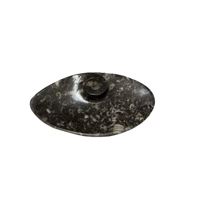 Ammonites and Orthoceras Fossil Ellipse Shape Dish | Small | NWT