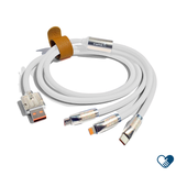 3-in-1 Charging Cable