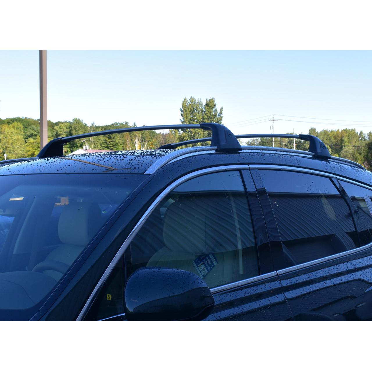 2021-2024 Genesis GV80 Roof Rack Crossbars