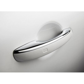 2017-2027 Genesis Door Pocket Protector Films