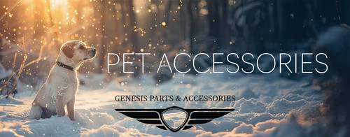 Pet Accessories