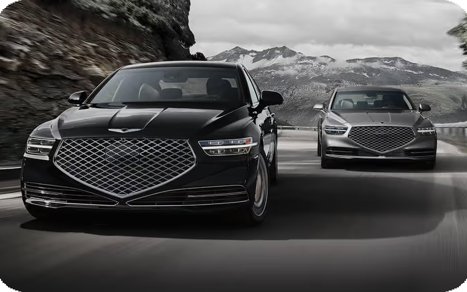 Genesis Parts & Accessories