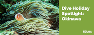 Dive Holiday Spotlight - Okinawa, Japan