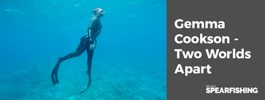 NZ Depth Nationals + Inter Pacific Spearfishing Champs