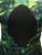 Epsealon Green Fusion 3mm Wetsuit