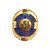 Blue Past Commander Life Member Officer Lapel Pin