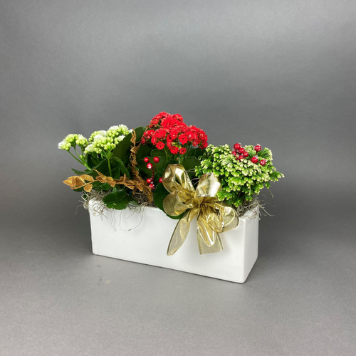 CHRISTMAS PLANTER