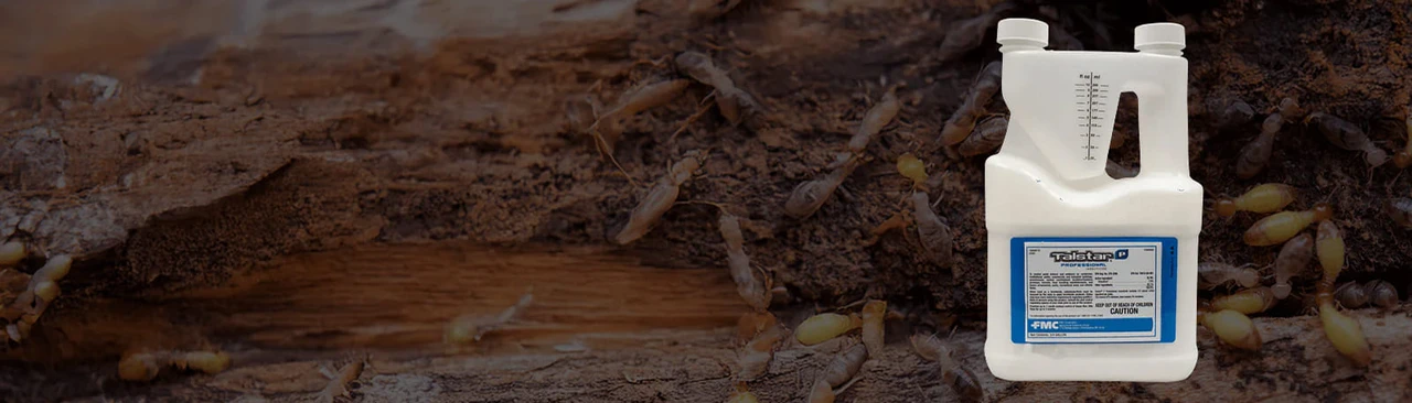 One Solution,  Total Pest Control