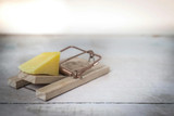 Are Mouse Traps Effective & What Are the Different Types of Mouse Traps?