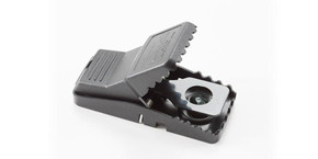 Trapper Mini-Rex Mouse Trap