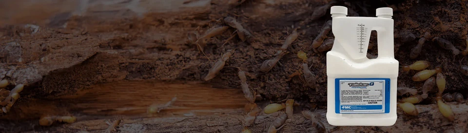 One Solution,  Total Pest Control