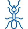 Ant Guide