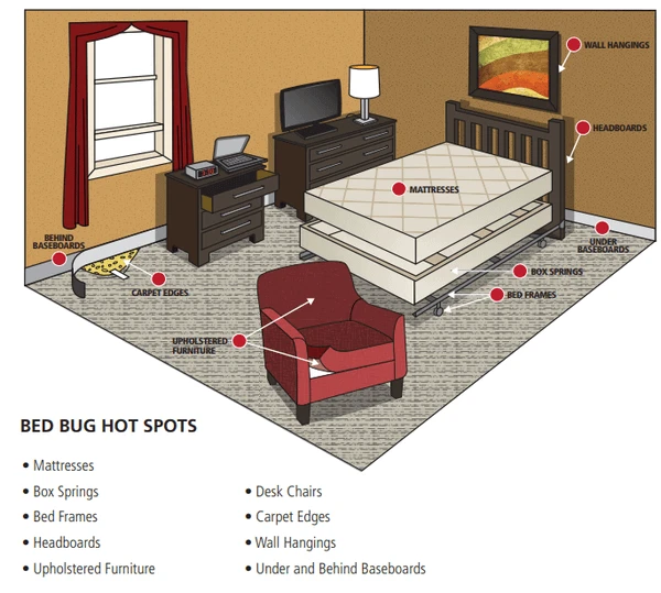 bed-bug-hot-spots