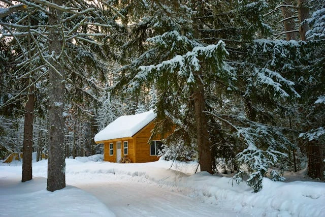Winter