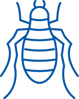 Fleas