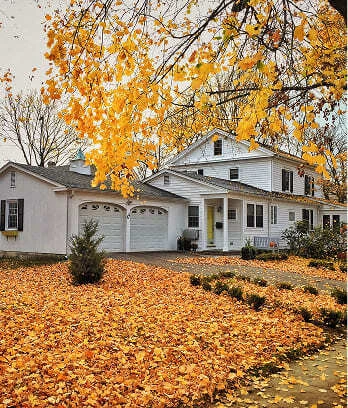Fall