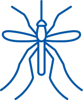Mosquitoes