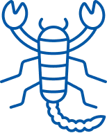 Scorpions