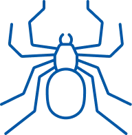 Spiders