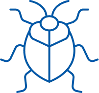 Stink Bugs